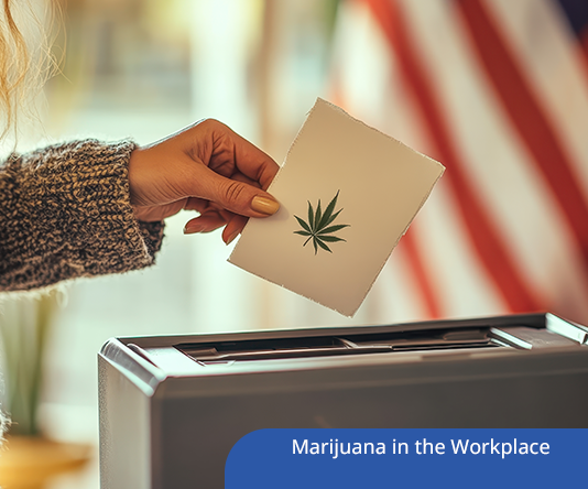 Marijuana in the Workplace: How to Craft an HR Policy