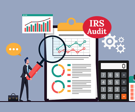 IRS Audit 2024 : Worker Classification 101